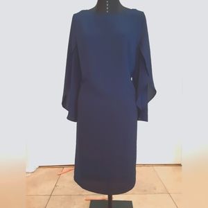 Navy Blue Shift Dress with Flutter Sleeves.